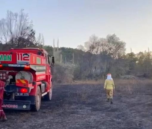  Arazide çıkan yangın ormana sıçramadan söndürüldü 1