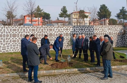  Osmancık Hükümet konağı bahçesine Zeytin Fidanı dikildi 1