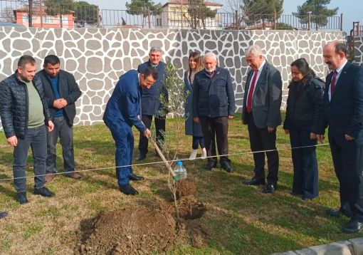  Osmancık Hükümet konağı bahçesine Zeytin Fidanı dikildi 5