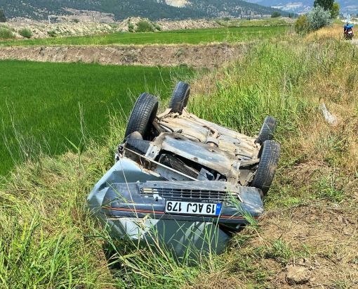  Osmancık'ta çeltik tarlasına devrilen otomobilde can pazarı 3