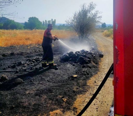  Osmancık'ta örtü yangını ağaçlar zarar gördü 2