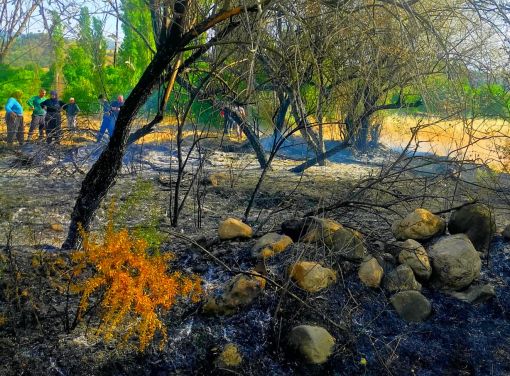  Osmancık'ta örtü yangını ağaçlar zarar gördü 7