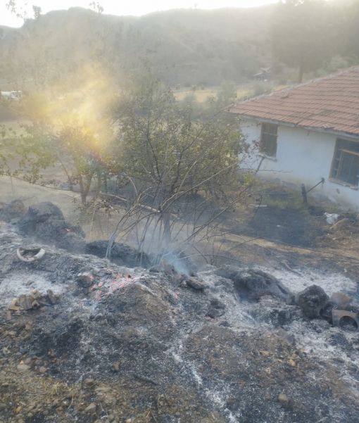  Osmancık'taki yangın ormana sıçramadan söndürüldü 3