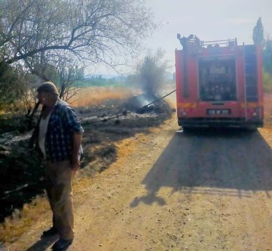 Osmancık'ta örtü yangını ağaçlar zarar gördü